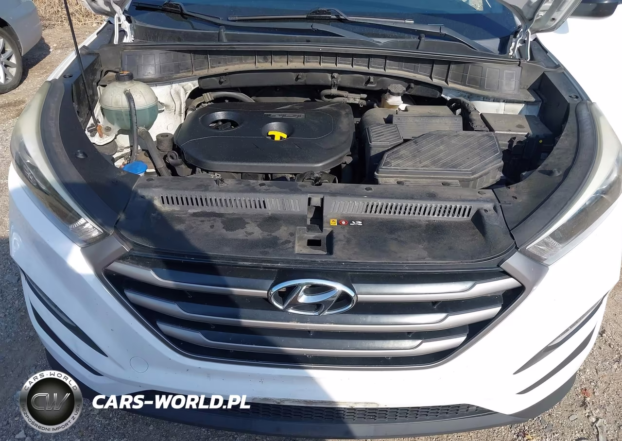 2016 Hyundai Tucson Se VIN:KM8J33A42GU023776 - 10