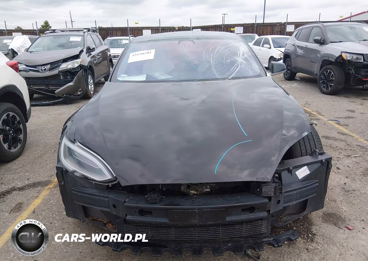 2018 Tesla Model S 100D-75D-P100D VIN:5YJSA1E2XJF261323 - 13