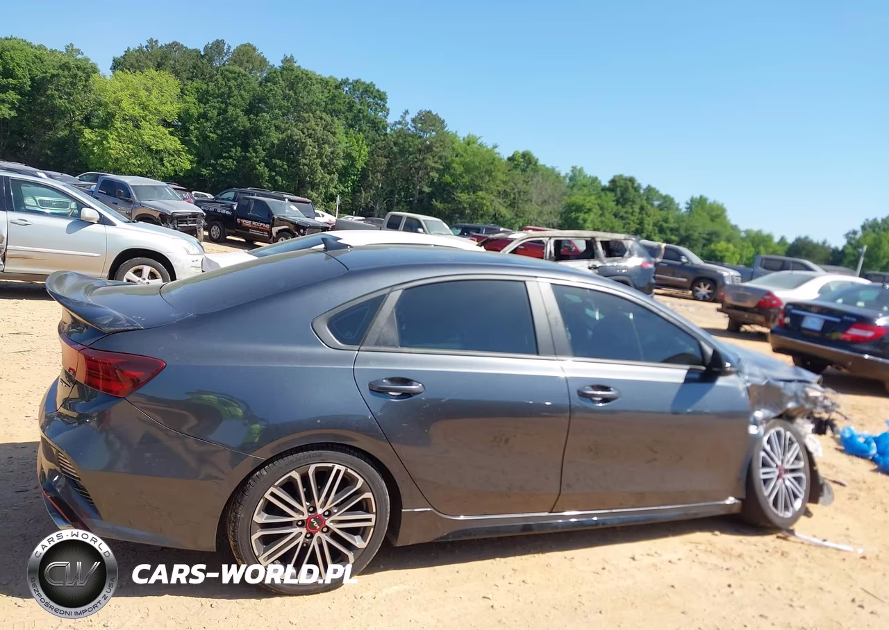 2023 Kia Forte Gt Manual VIN:3KPF44AC2PE502587 - 13