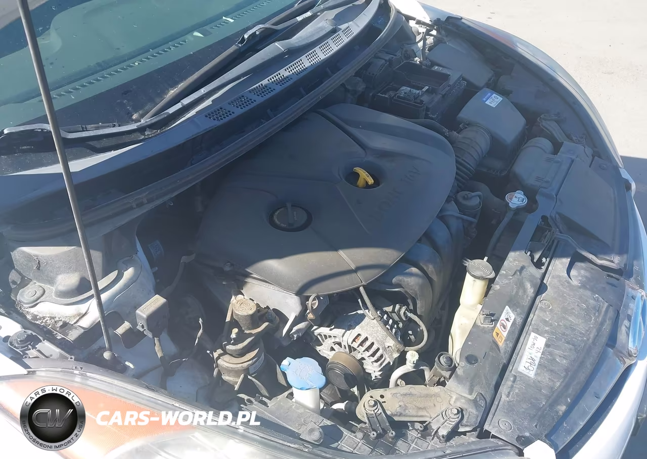 2013 Hyundai Elantra Gs VIN:KMHDH6AE7DU000319 - 10