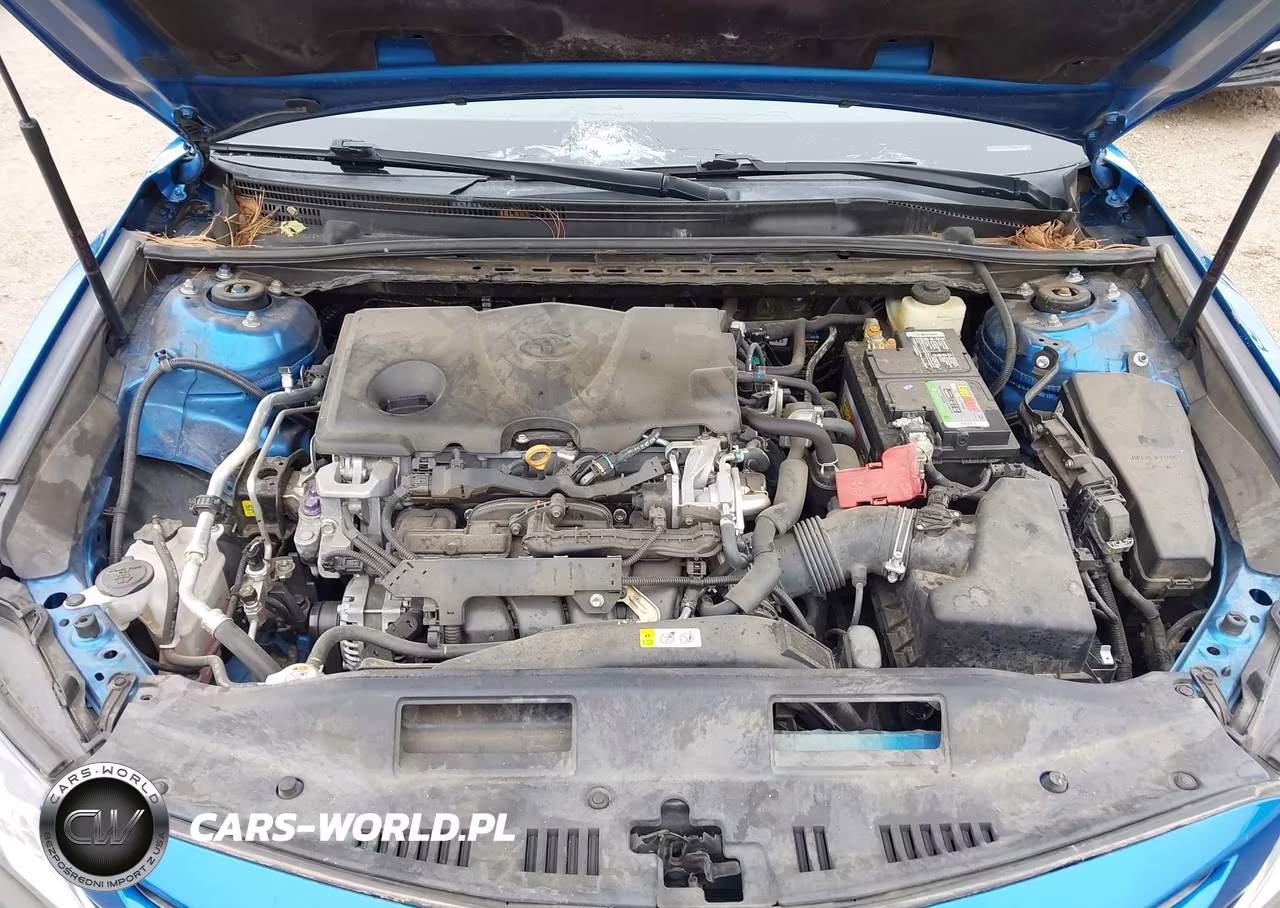 2018 Toyota Camry Se VIN:4T1B11HK4JU148465 - 10