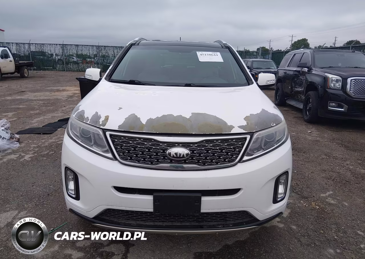 2014 Kia Sorento Limited V6 VIN:5XYKWDA70EG520310 - 12