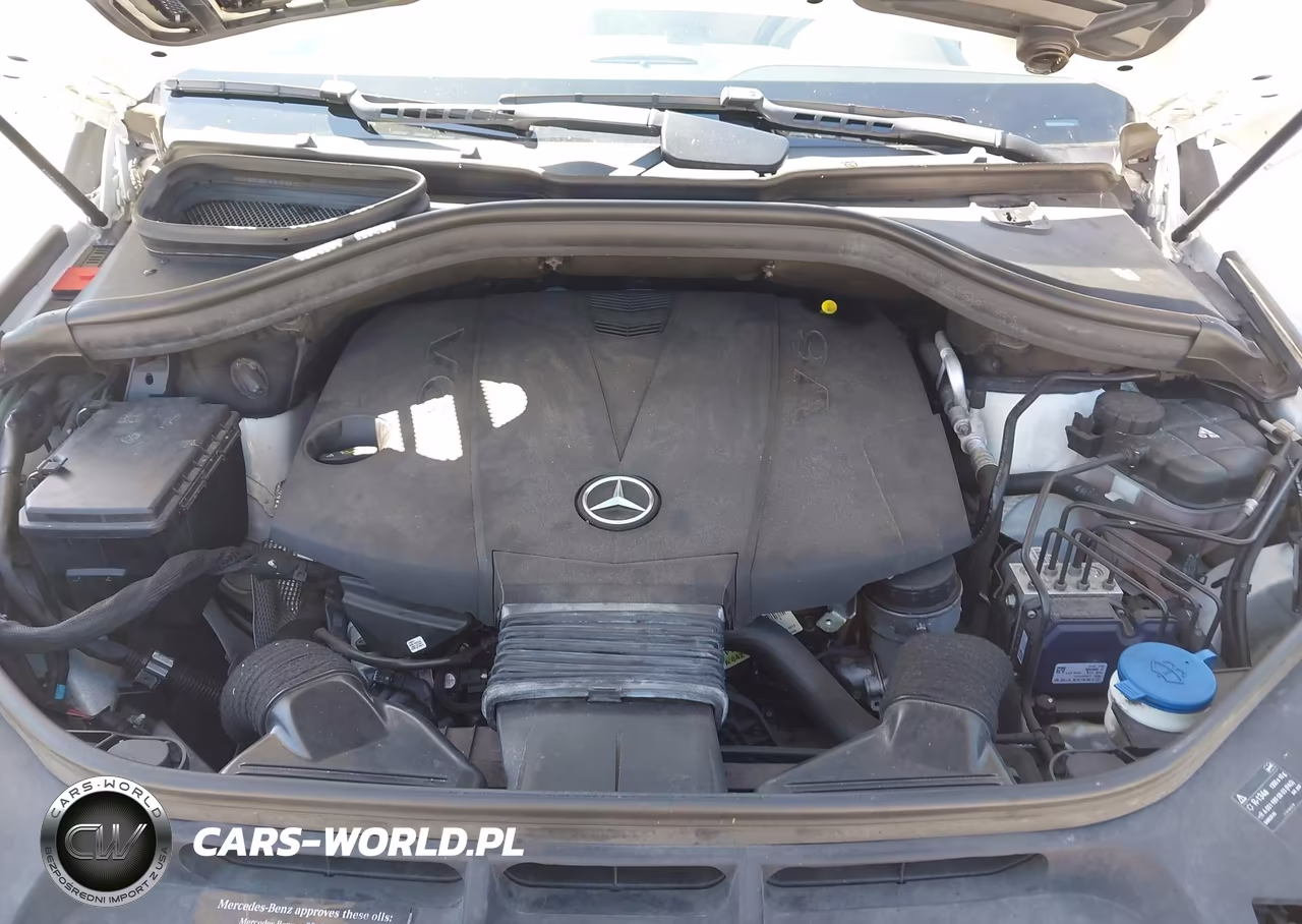 2015 Mercedes-Benz Gl 350 Bluetec 4Matic VIN:4JGDF2EE2FA550962 - 10