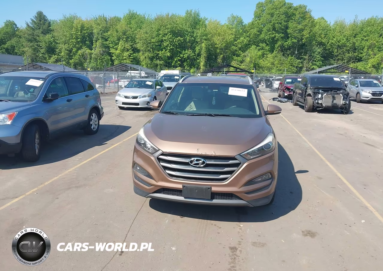 2016 Hyundai Tucson Eco VIN:KM8J33A23GU181316 - 12