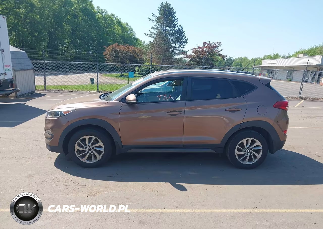 2016 Hyundai Tucson Eco VIN:KM8J33A23GU181316 - 14