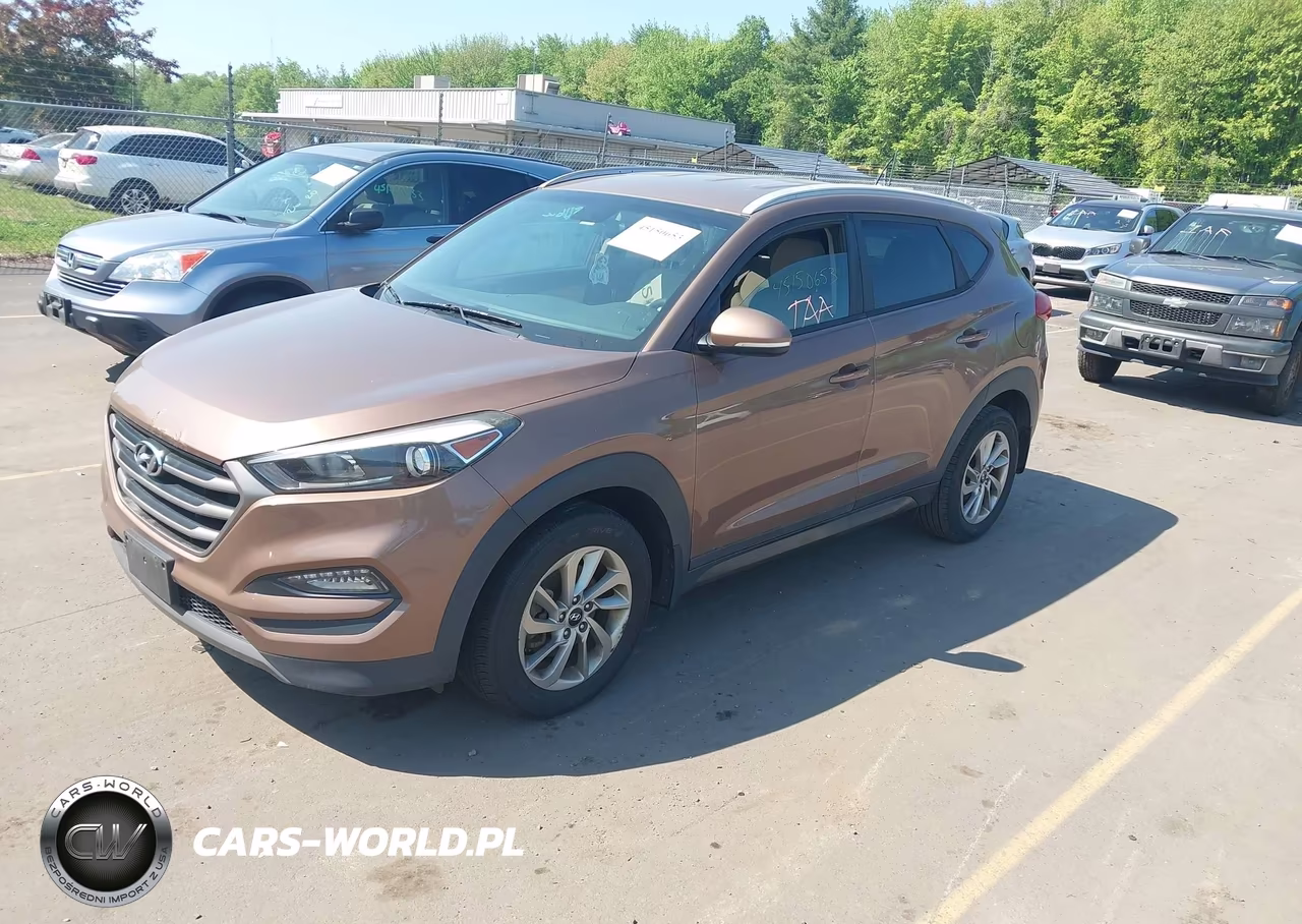2016 Hyundai Tucson Eco VIN:KM8J33A23GU181316 - 2