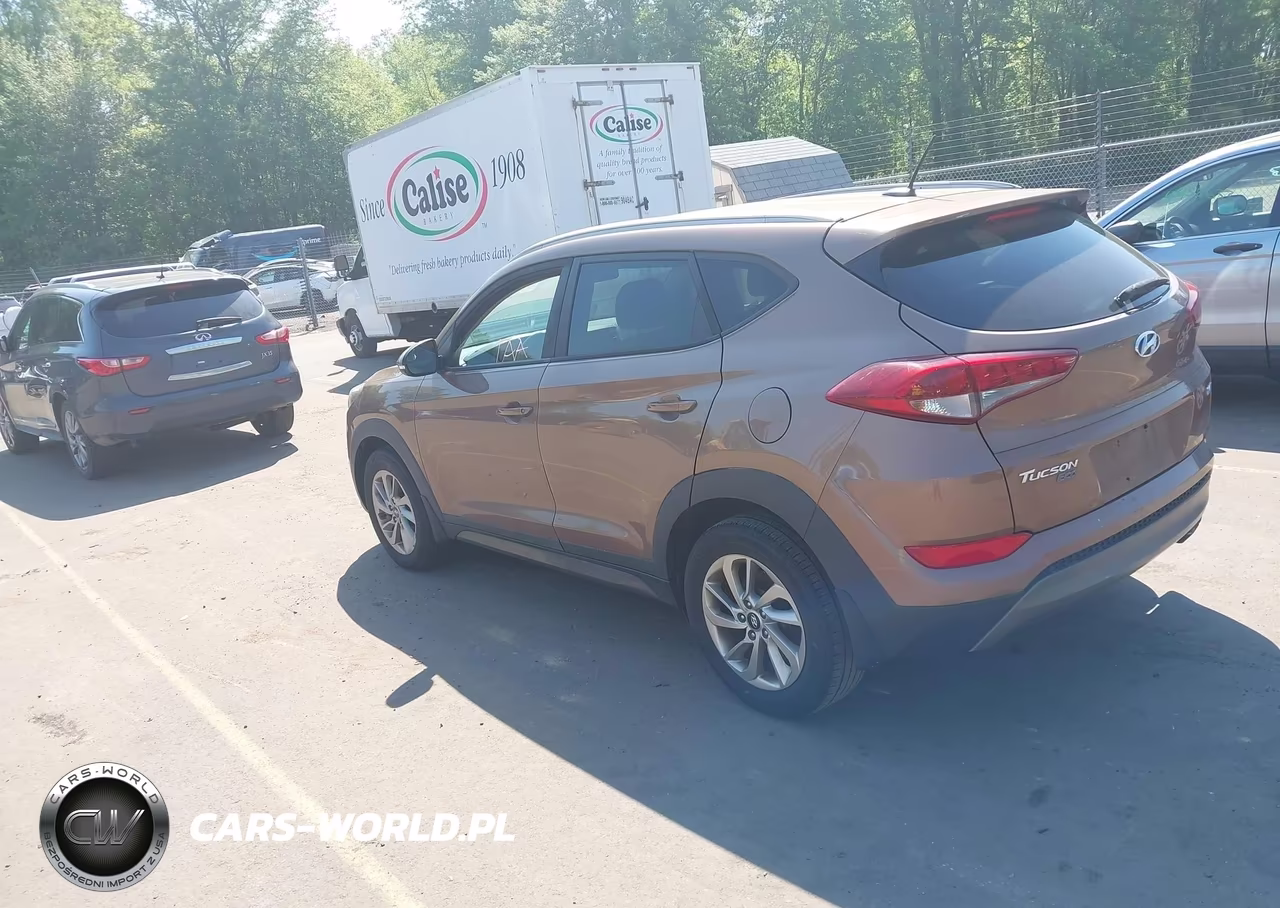 2016 Hyundai Tucson Eco VIN:KM8J33A23GU181316 - 3