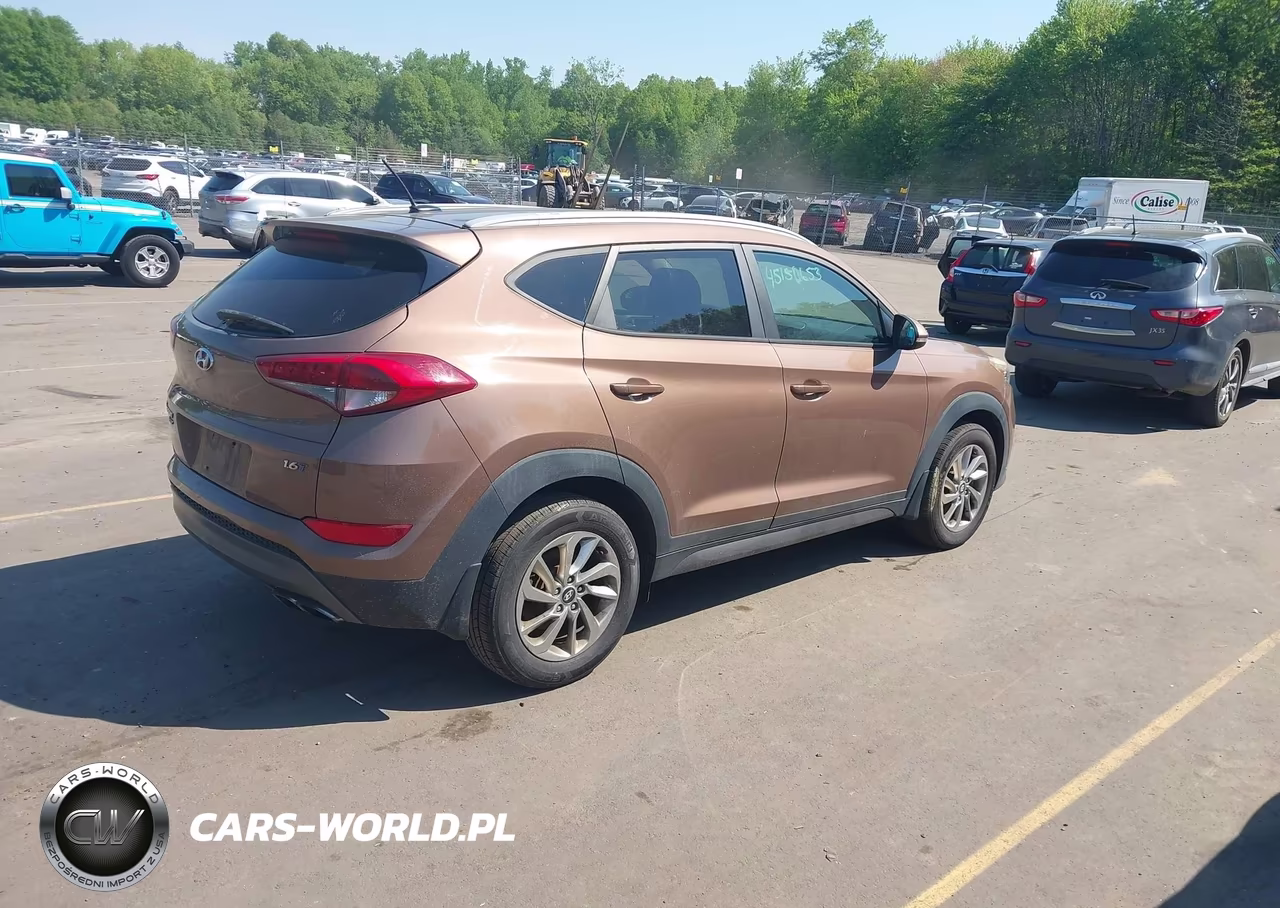 2016 Hyundai Tucson Eco VIN:KM8J33A23GU181316 - 4