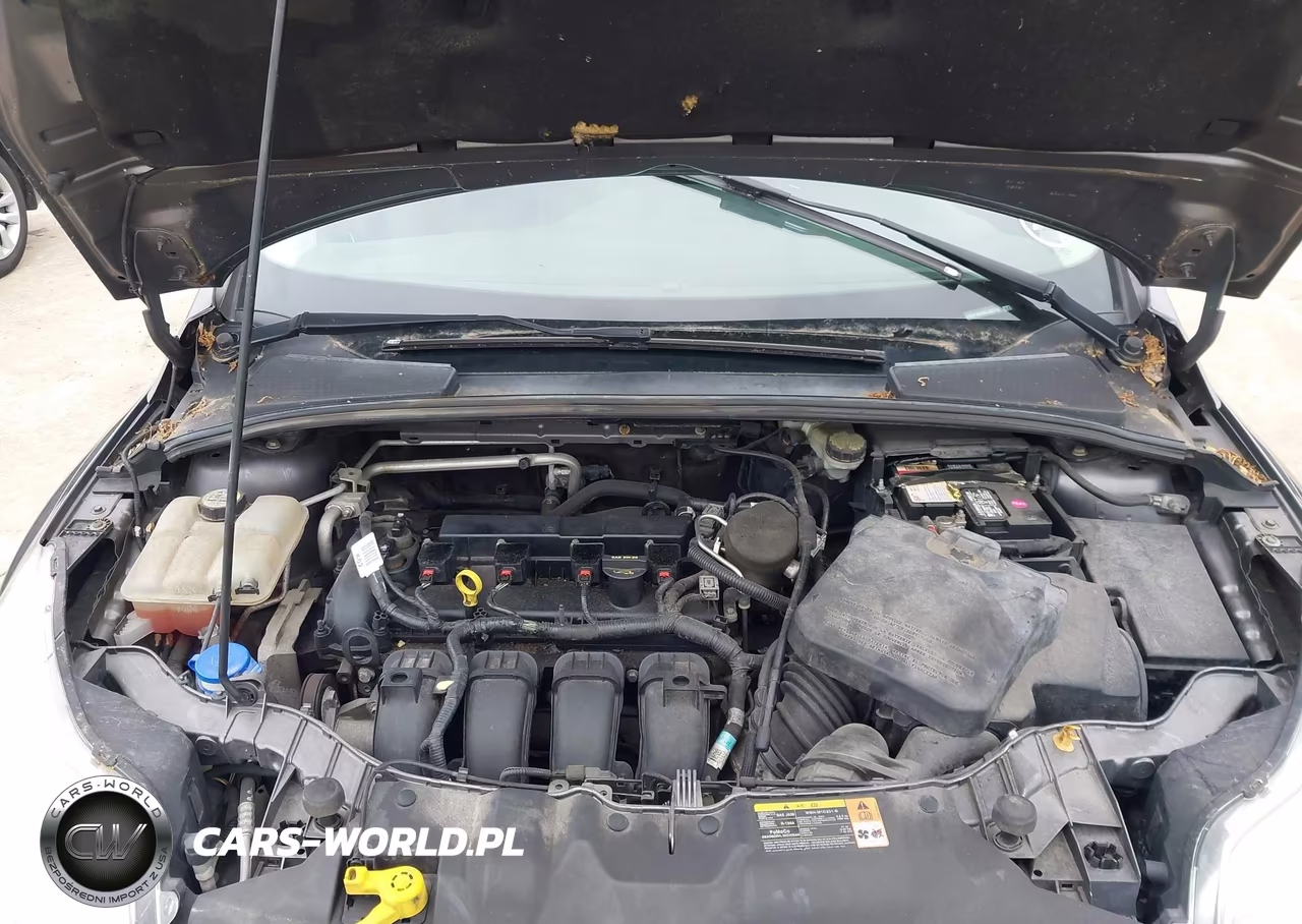 2013 Ford Focus Se VIN:1FADP3K29DL303043 - 10