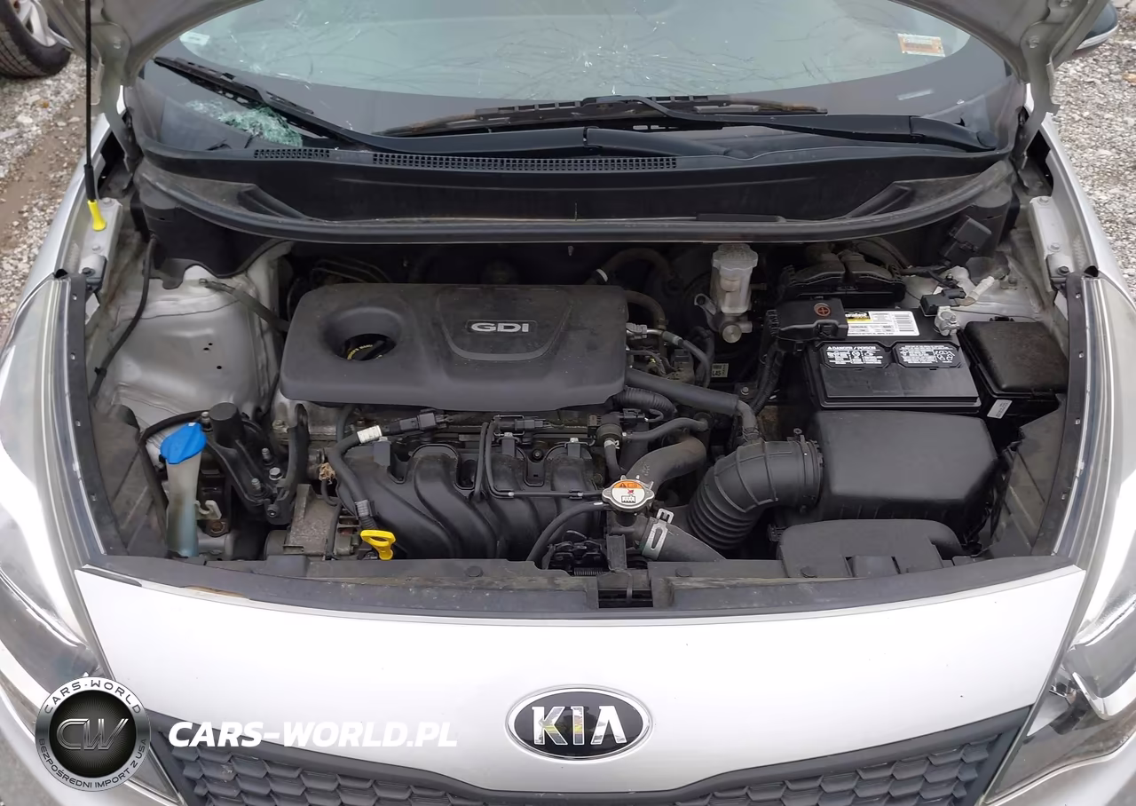 2016 Kia Rio Lx VIN:KNADM4A3XG6678992 - 10