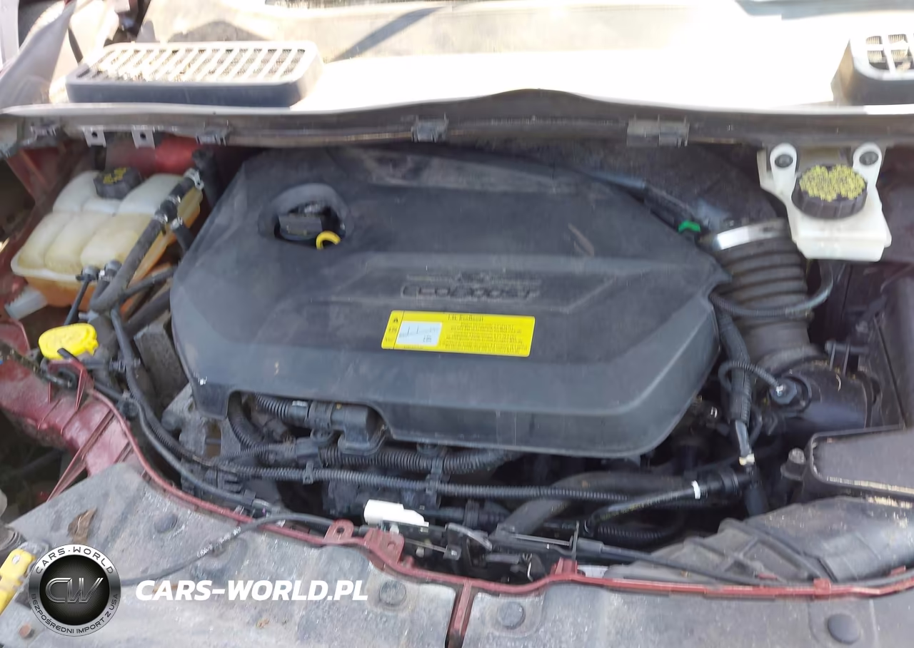 2014 Ford Escape Se VIN:1FMCU0GX8EUC75082 - 10