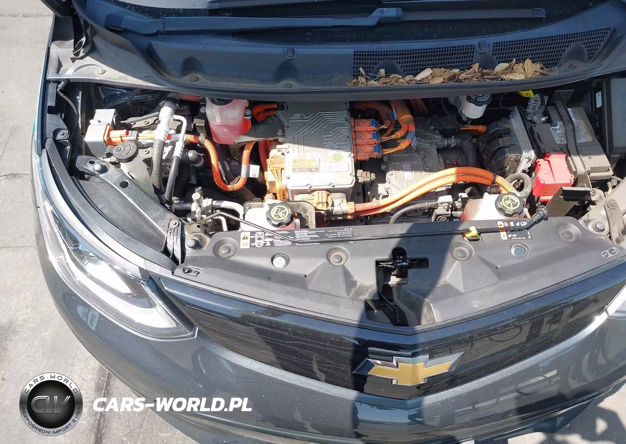 2019 Chevrolet Bolt Ev Lt VIN:1G1FY6S09K4125134 - 10