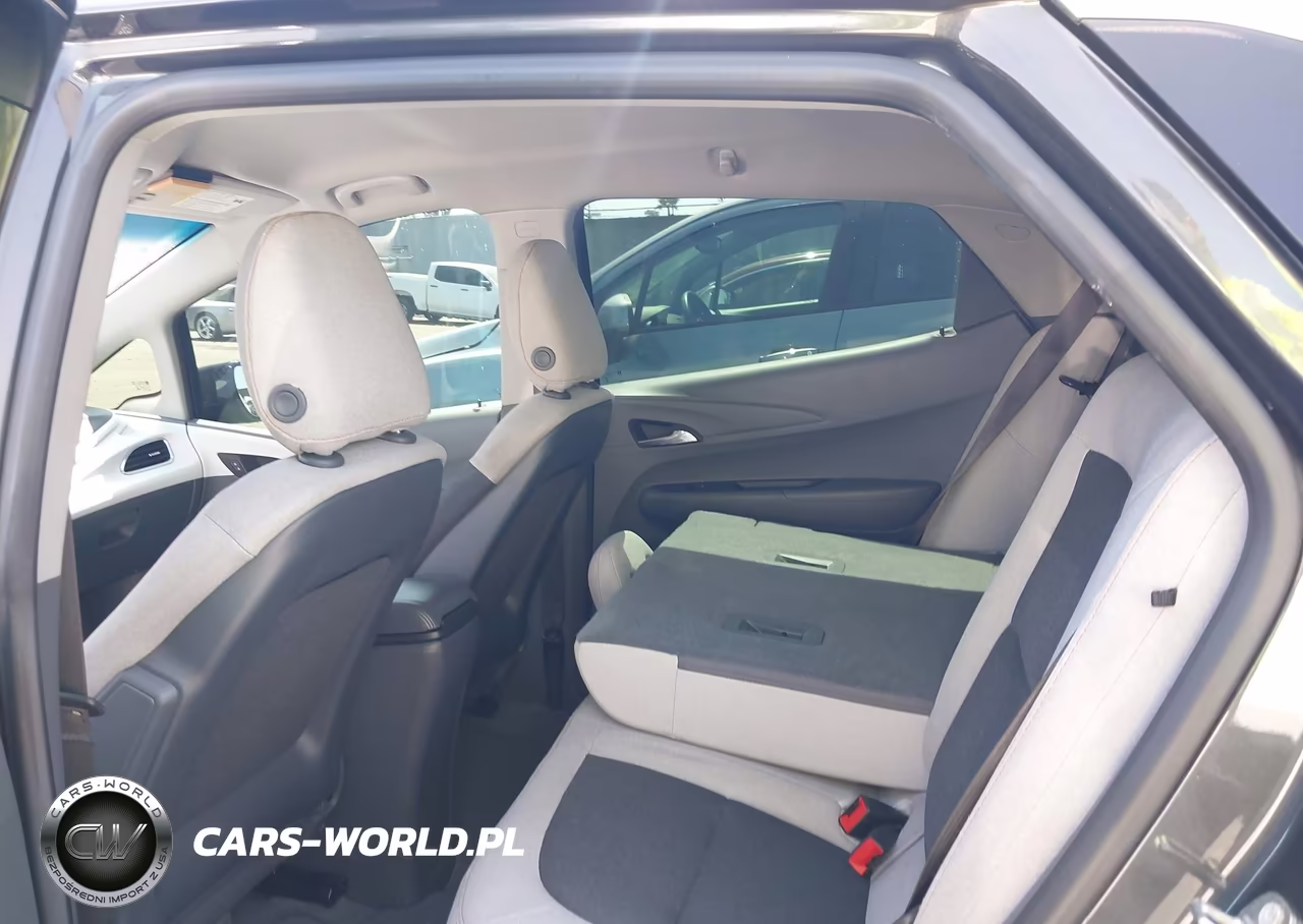 2019 Chevrolet Bolt Ev Lt VIN:1G1FY6S09K4125134 - 23
