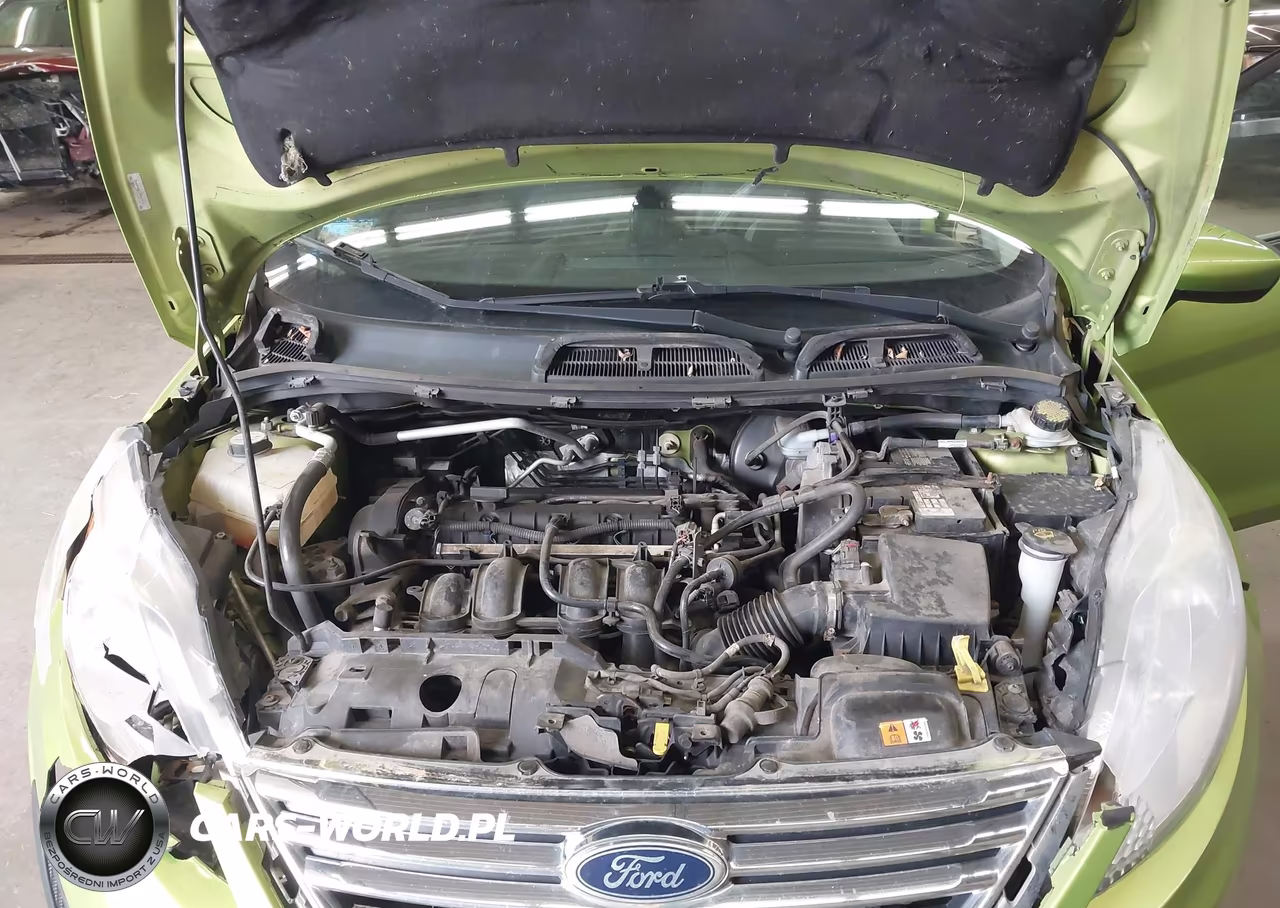 2013 Ford Fiesta Se VIN:3FADP4BJ1DM136916 - 10