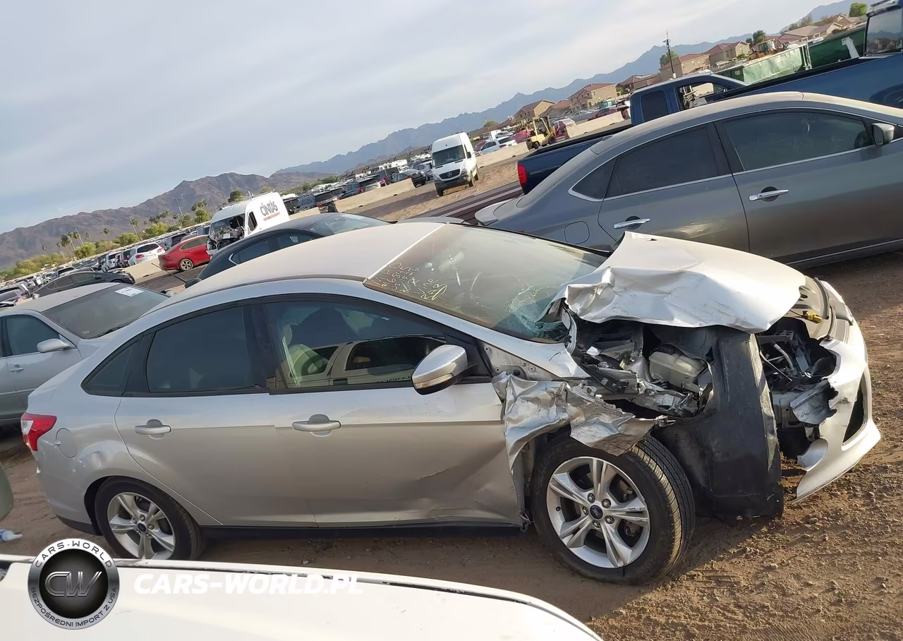 2014 Ford Focus Se VIN:1FADP3F27EL363561 - 12