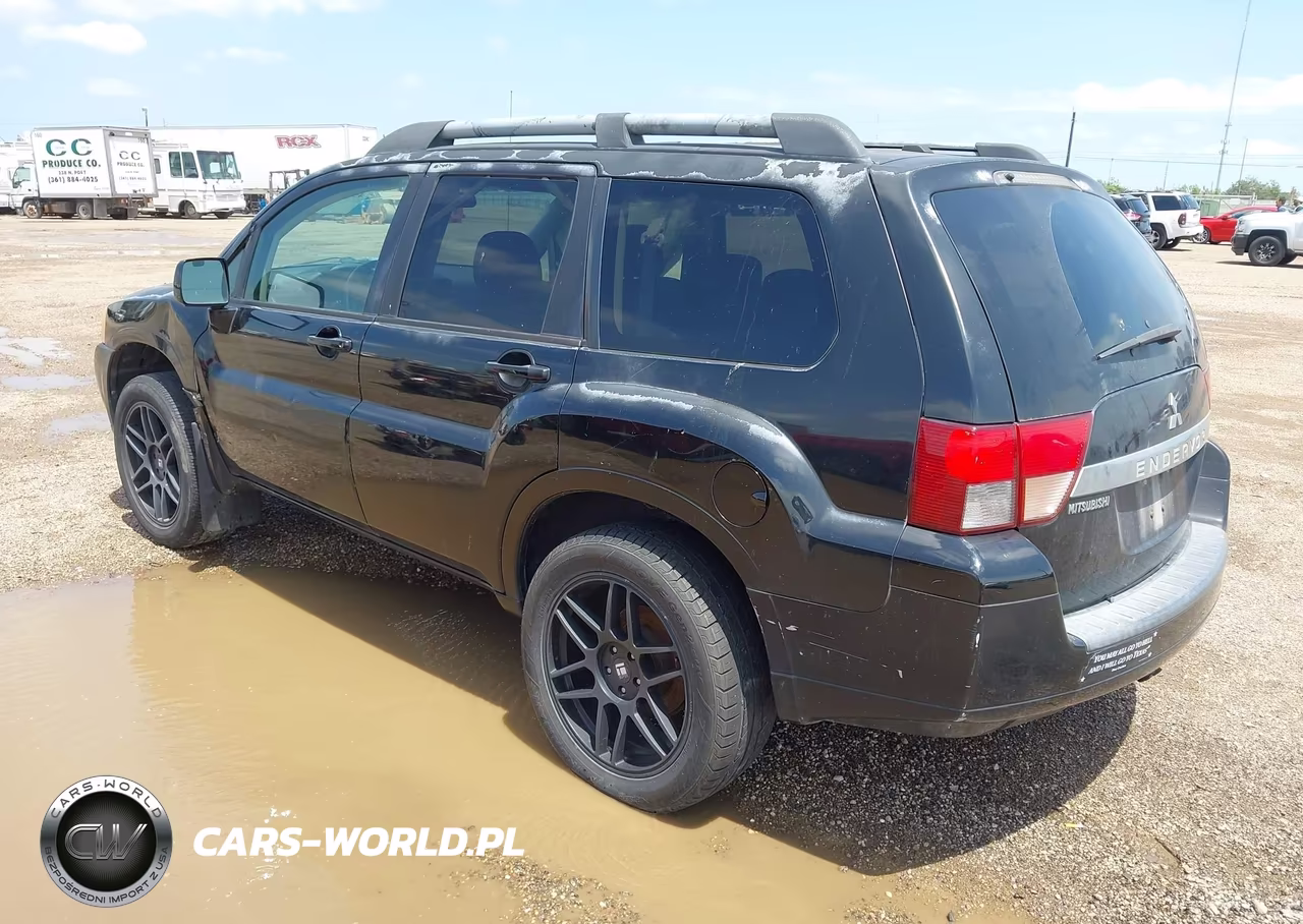 2010 Mitsubishi Endeavor Se VIN:4A4JM3AS9AE005592 - 3