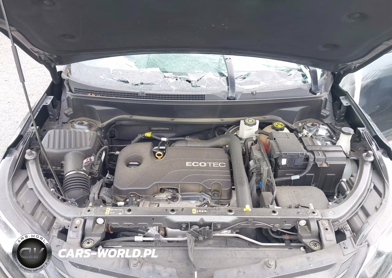 2019 Chevrolet Equinox Ls VIN:3GNAXHEV1KS544755 - 10