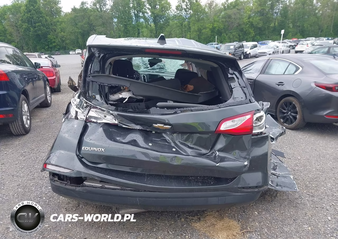2019 Chevrolet Equinox Ls VIN:3GNAXHEV1KS544755 - 17