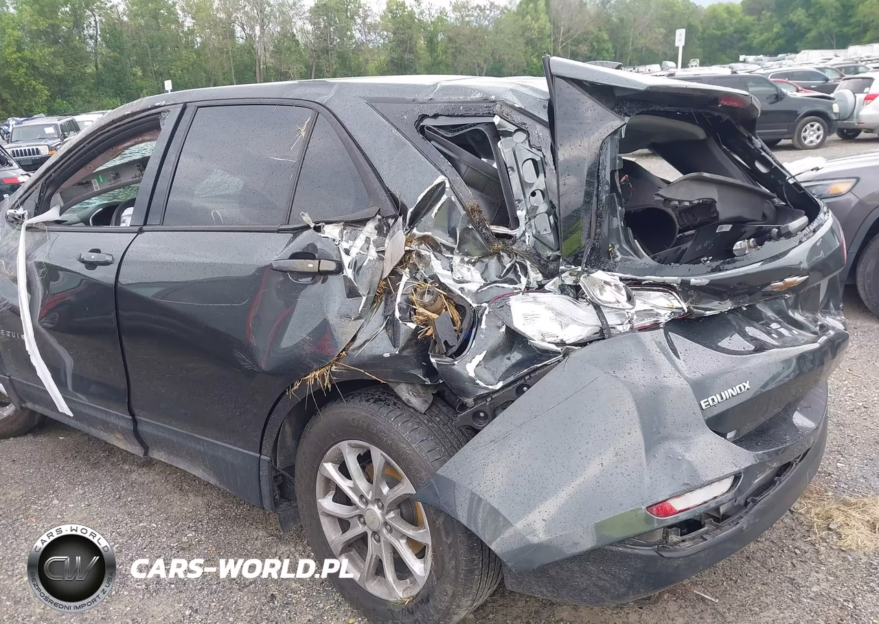 2019 Chevrolet Equinox Ls VIN:3GNAXHEV1KS544755 - 20