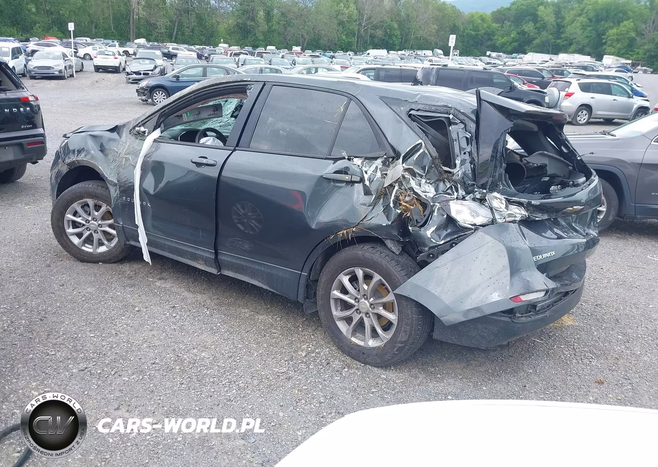 2019 Chevrolet Equinox Ls VIN:3GNAXHEV1KS544755 - 3