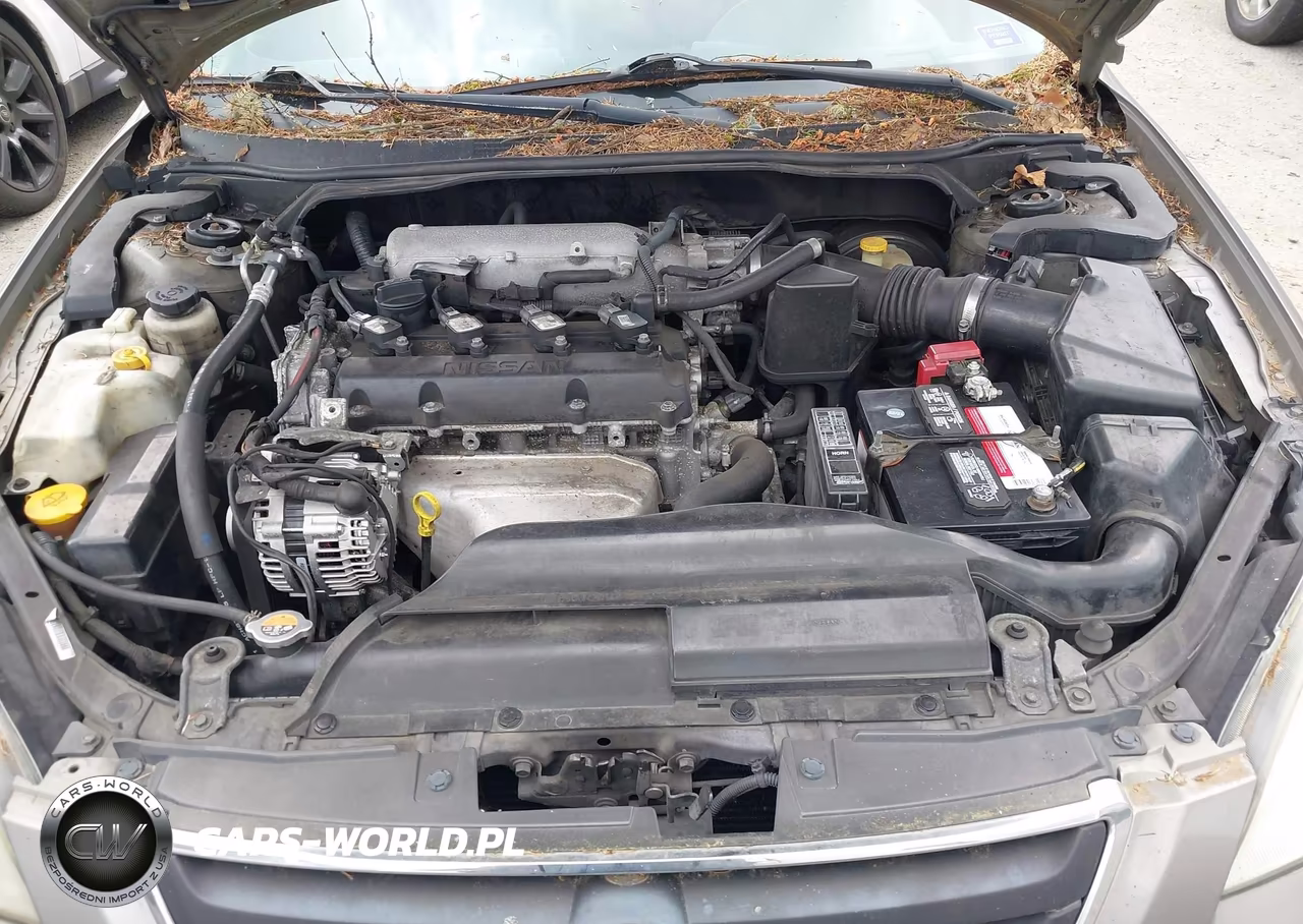 2002 Nissan Altima 2.5 Sl VIN:1N4AL11D52C215500 - 10