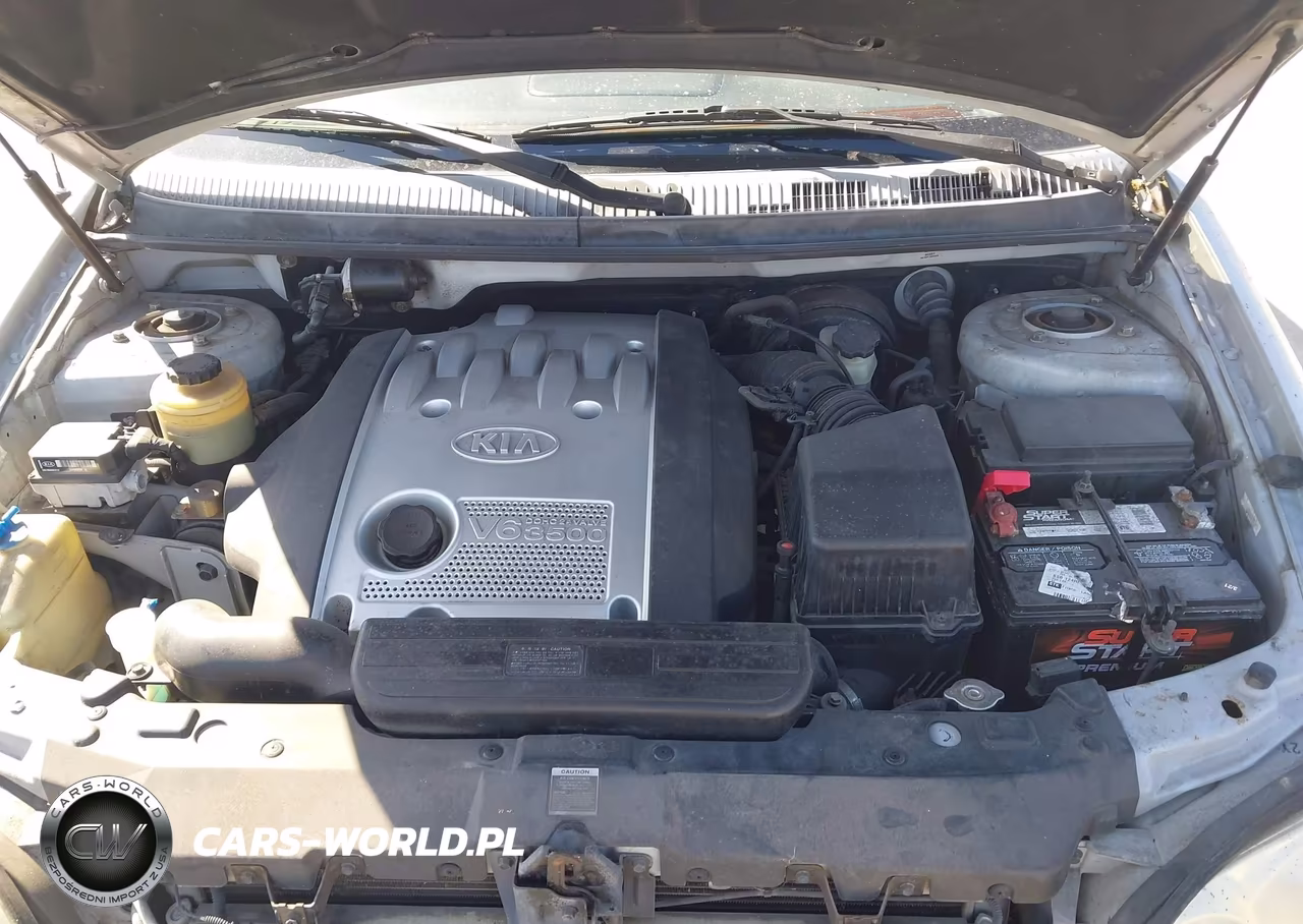 2004 Kia Sedona Ex-Lx VIN:KNDUP131346542994 - 10