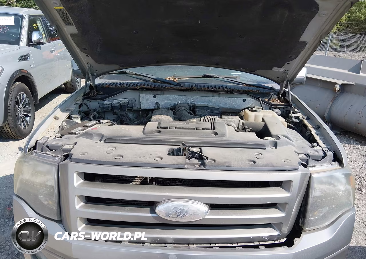 2009 Ford Expedition Limited VIN:1FMFU20589LA07730 - 10