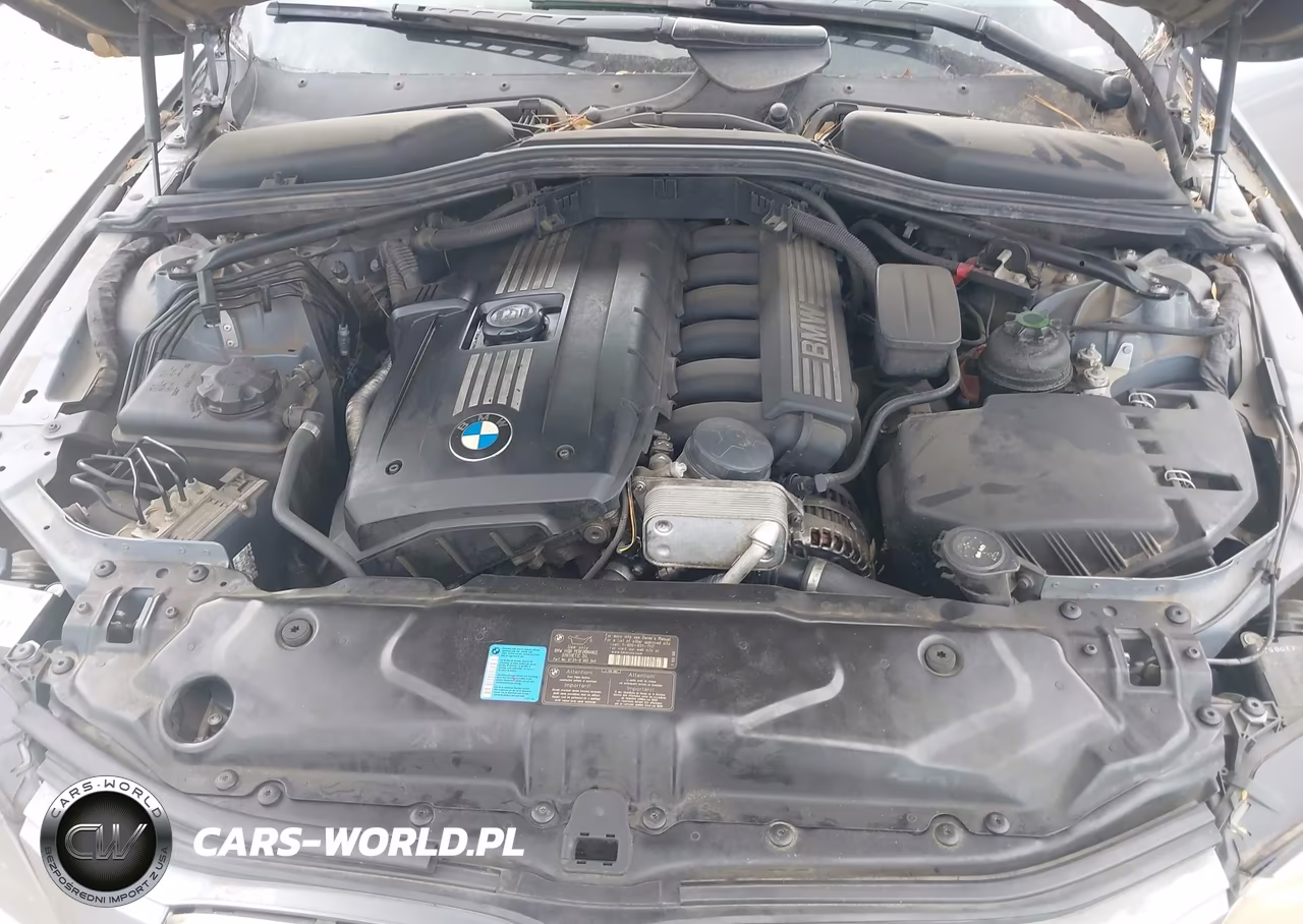 2010 BMW 528I VIN:WBANU5C50AC442207 - 10