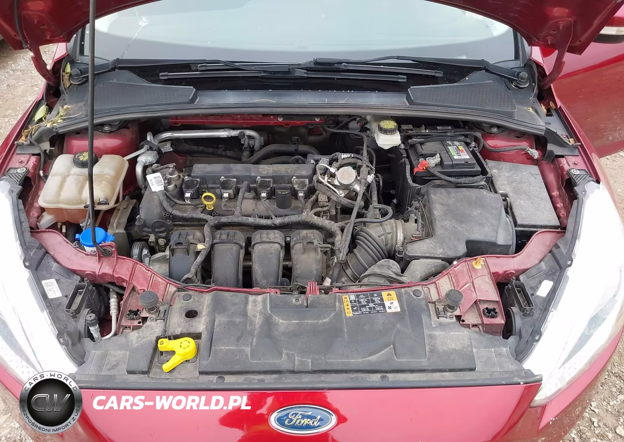 2017 Ford Focus Se VIN:1FADP3K22HL245069 - 10