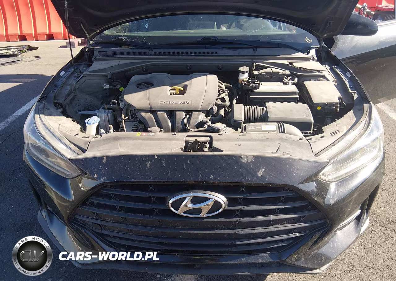 2019 Hyundai Veloster 2.0 Premium VIN:KMHTG6AF4KU009886 - 10