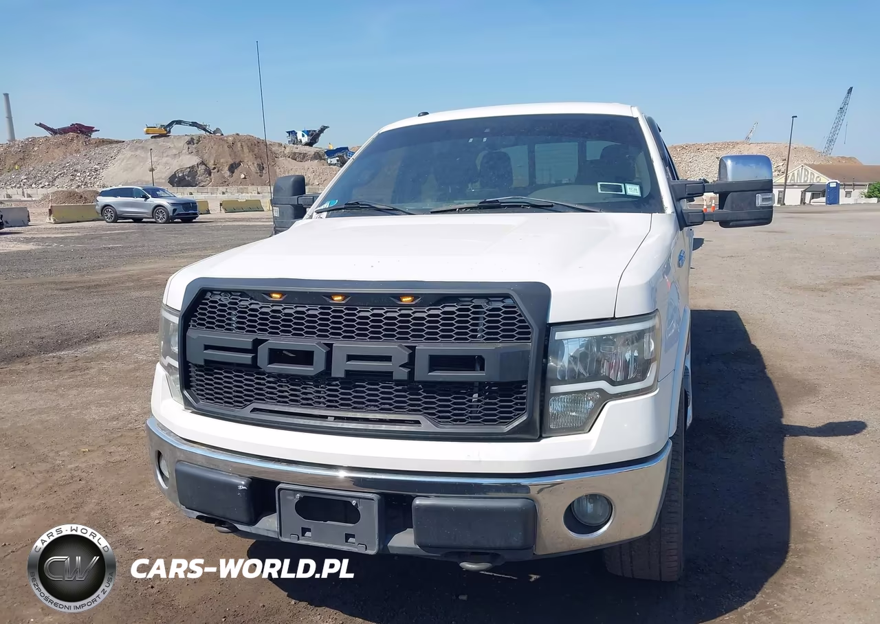 2010 Ford F-150 Fx4-Harley-Davidson-King Ranch-Lariat-Platinum-Xl-Xlt VIN:1FTFW1EV5AFB69089 - 12