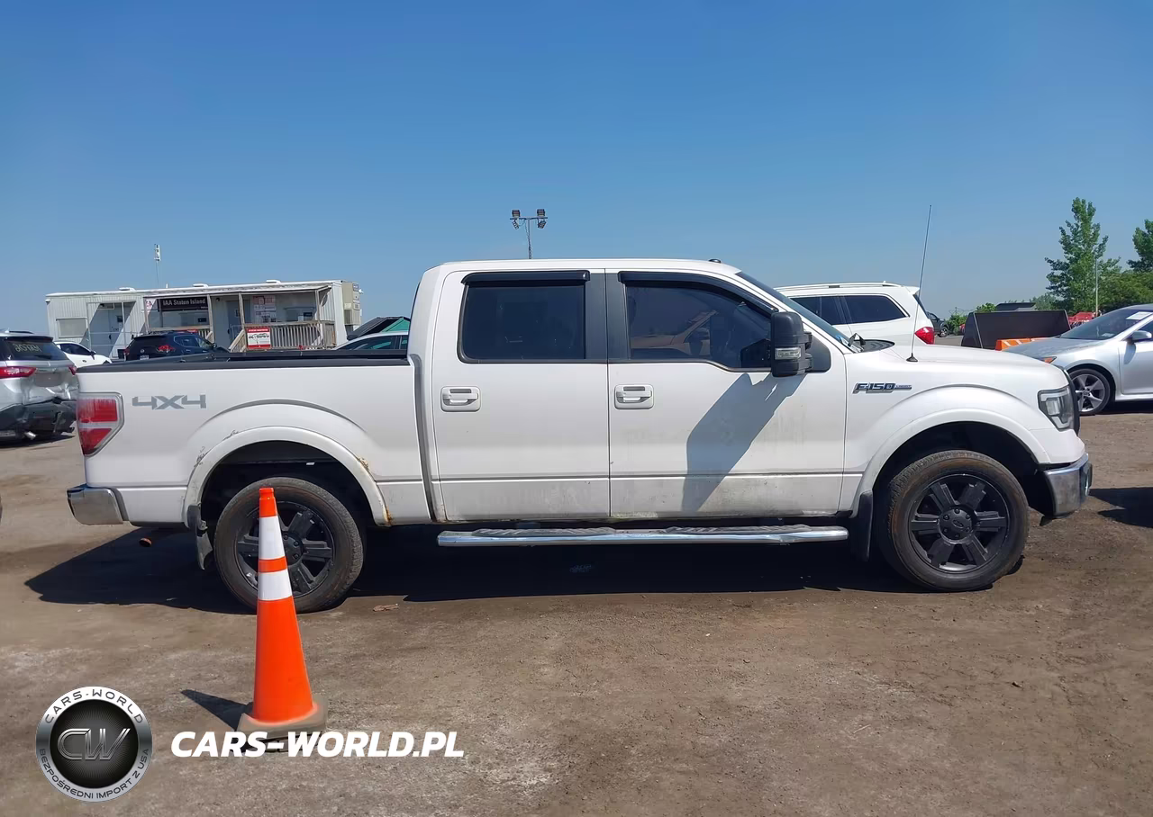 2010 Ford F-150 Fx4-Harley-Davidson-King Ranch-Lariat-Platinum-Xl-Xlt VIN:1FTFW1EV5AFB69089 - 13