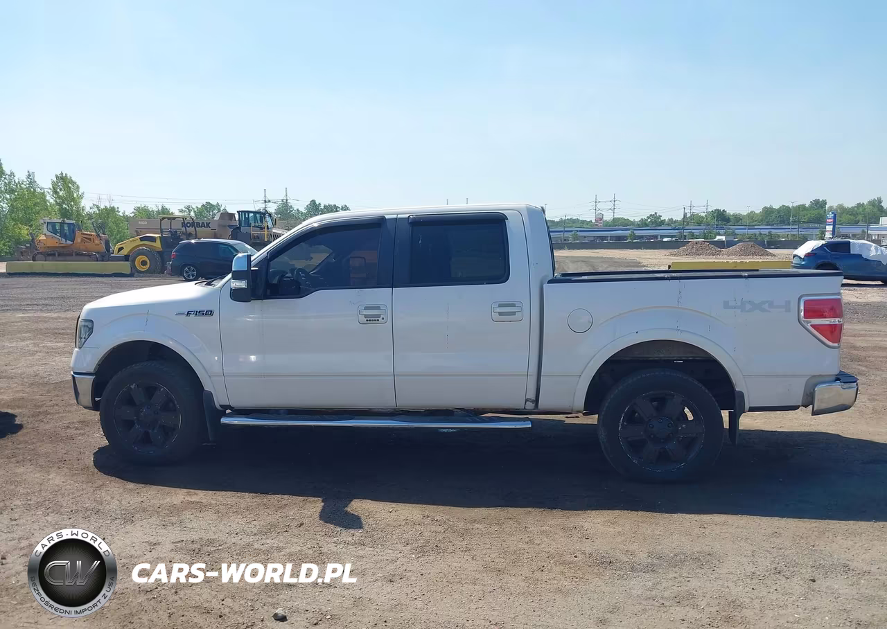 2010 Ford F-150 Fx4-Harley-Davidson-King Ranch-Lariat-Platinum-Xl-Xlt VIN:1FTFW1EV5AFB69089 - 14