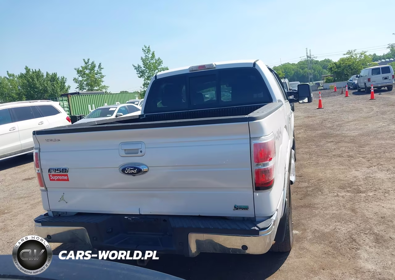 2010 Ford F-150 Fx4-Harley-Davidson-King Ranch-Lariat-Platinum-Xl-Xlt VIN:1FTFW1EV5AFB69089 - 16