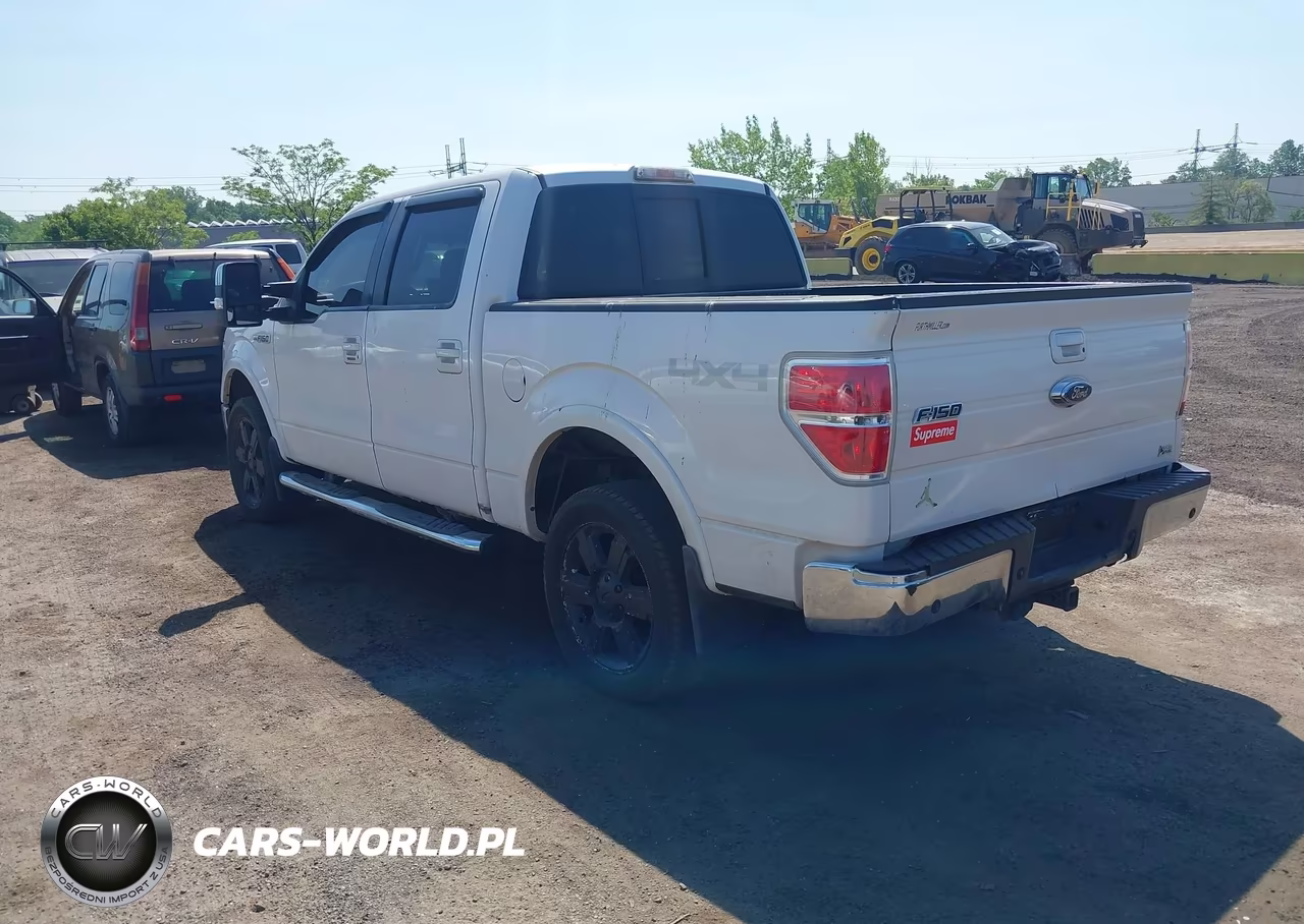 2010 Ford F-150 Fx4-Harley-Davidson-King Ranch-Lariat-Platinum-Xl-Xlt VIN:1FTFW1EV5AFB69089 - 3