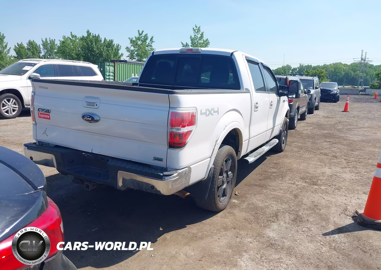 2010 Ford F-150 Fx4-Harley-Davidson-King Ranch-Lariat-Platinum-Xl-Xlt VIN:1FTFW1EV5AFB69089 - 4