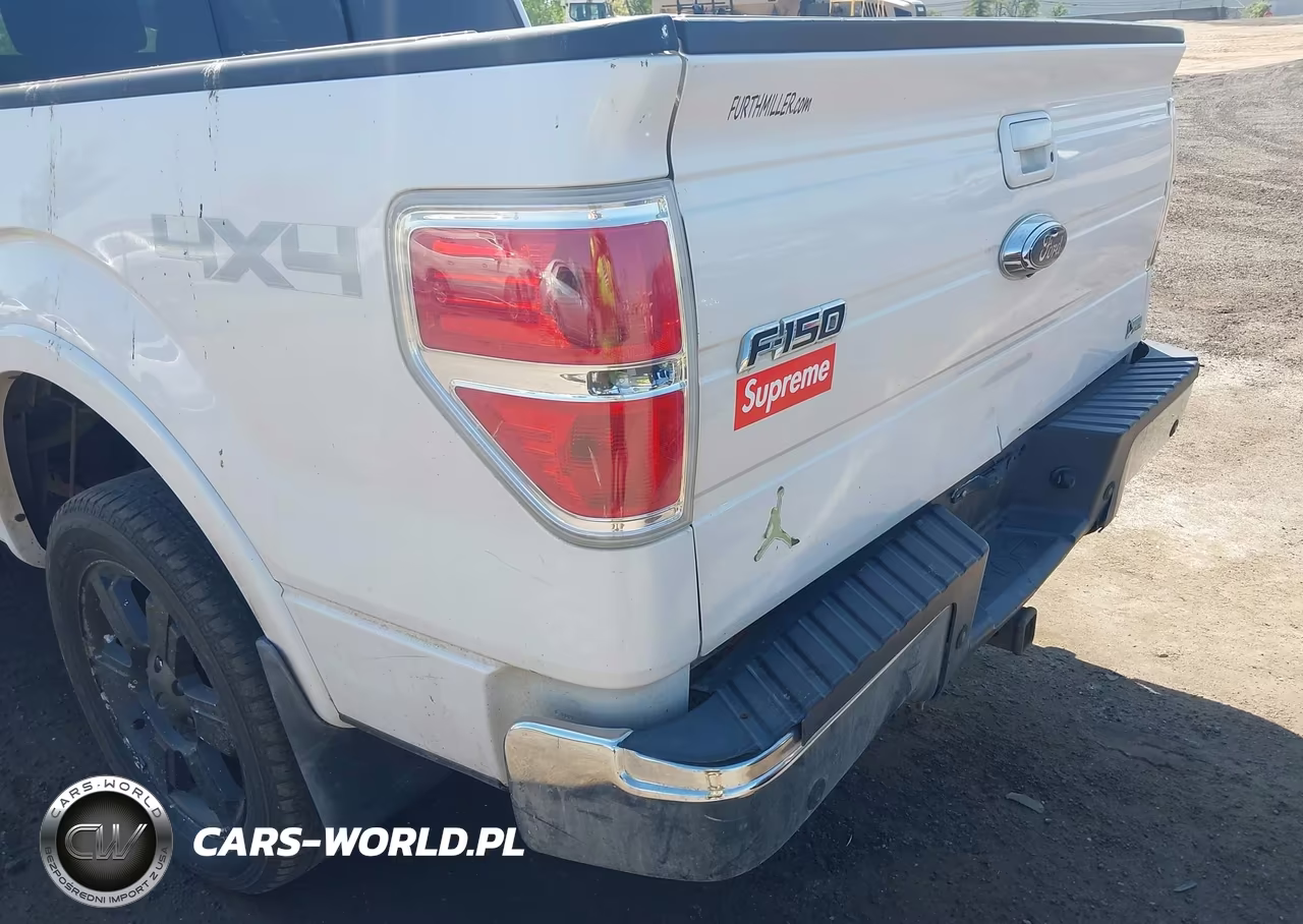 2010 Ford F-150 Fx4-Harley-Davidson-King Ranch-Lariat-Platinum-Xl-Xlt VIN:1FTFW1EV5AFB69089 - 6
