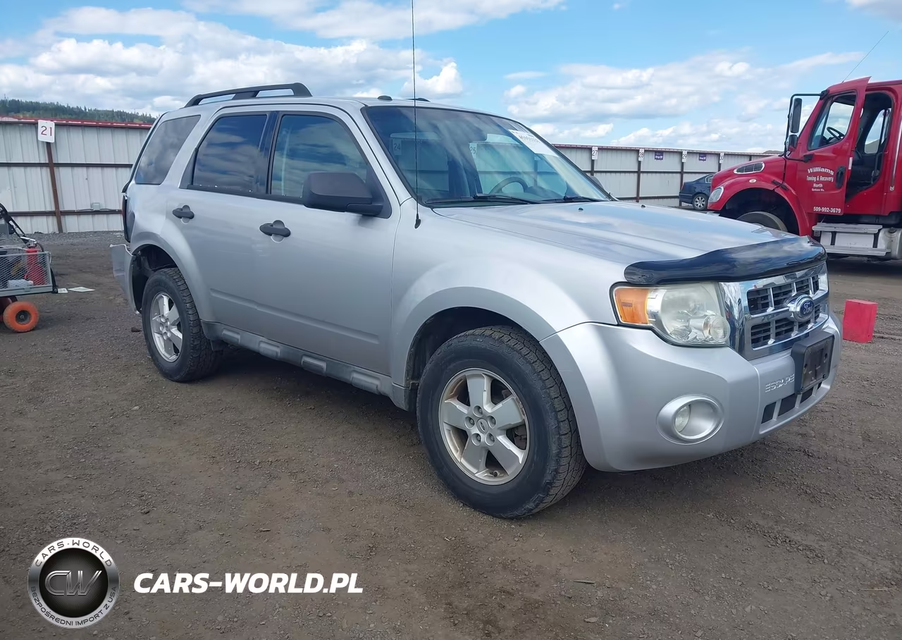 2010 Ford Escape Xlt