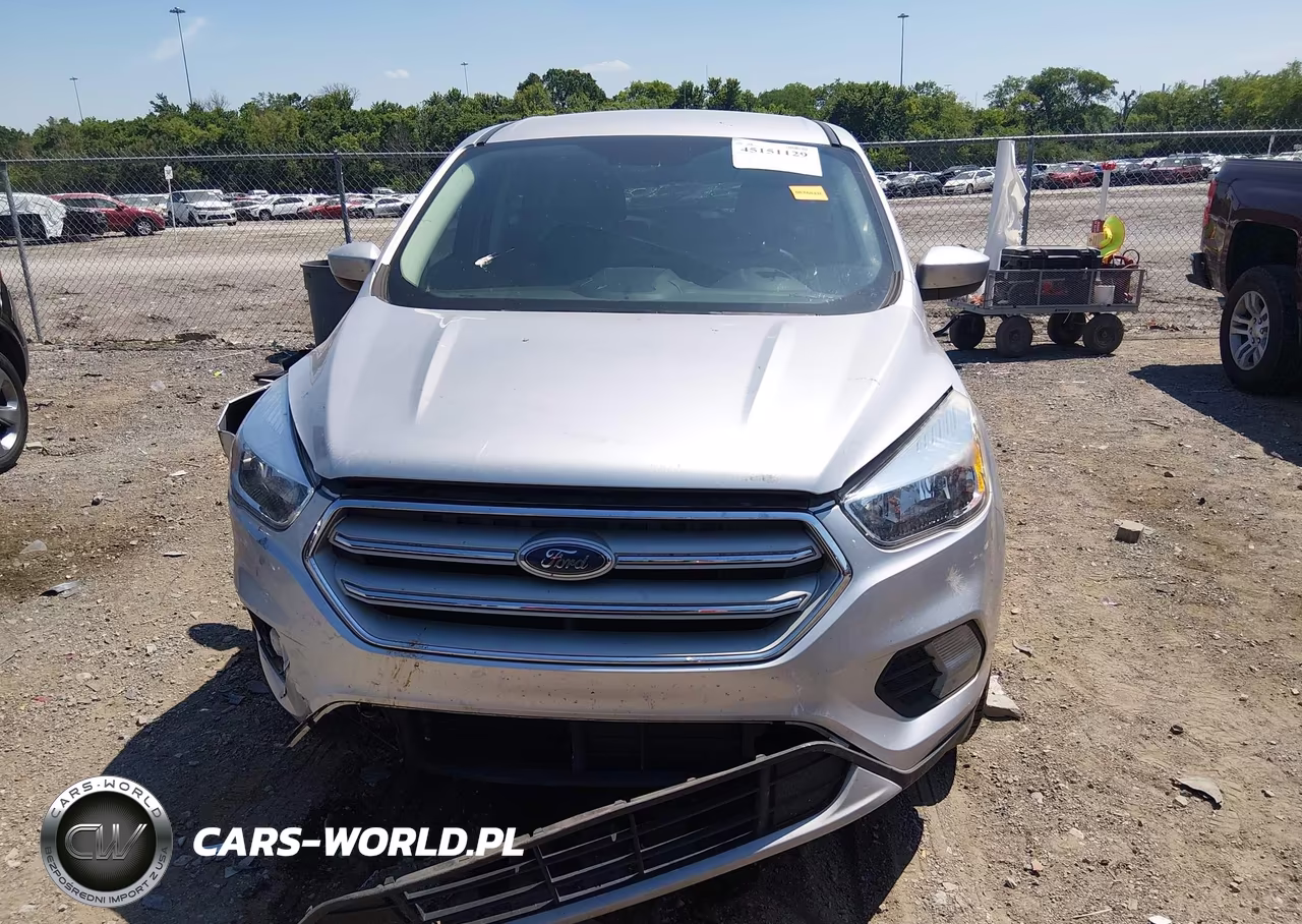 2019 Ford Escape Se VIN:1FMCU0GD0KUB19782 - 12