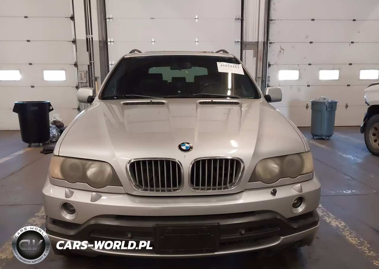 2002 BMW X5 4.6Is VIN:5UXFB93532LN79355 - 12