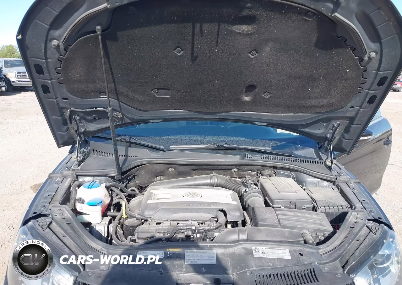 2014 Volkswagen Eos Sport VIN:WVWBW8AH0EV007258 - 10