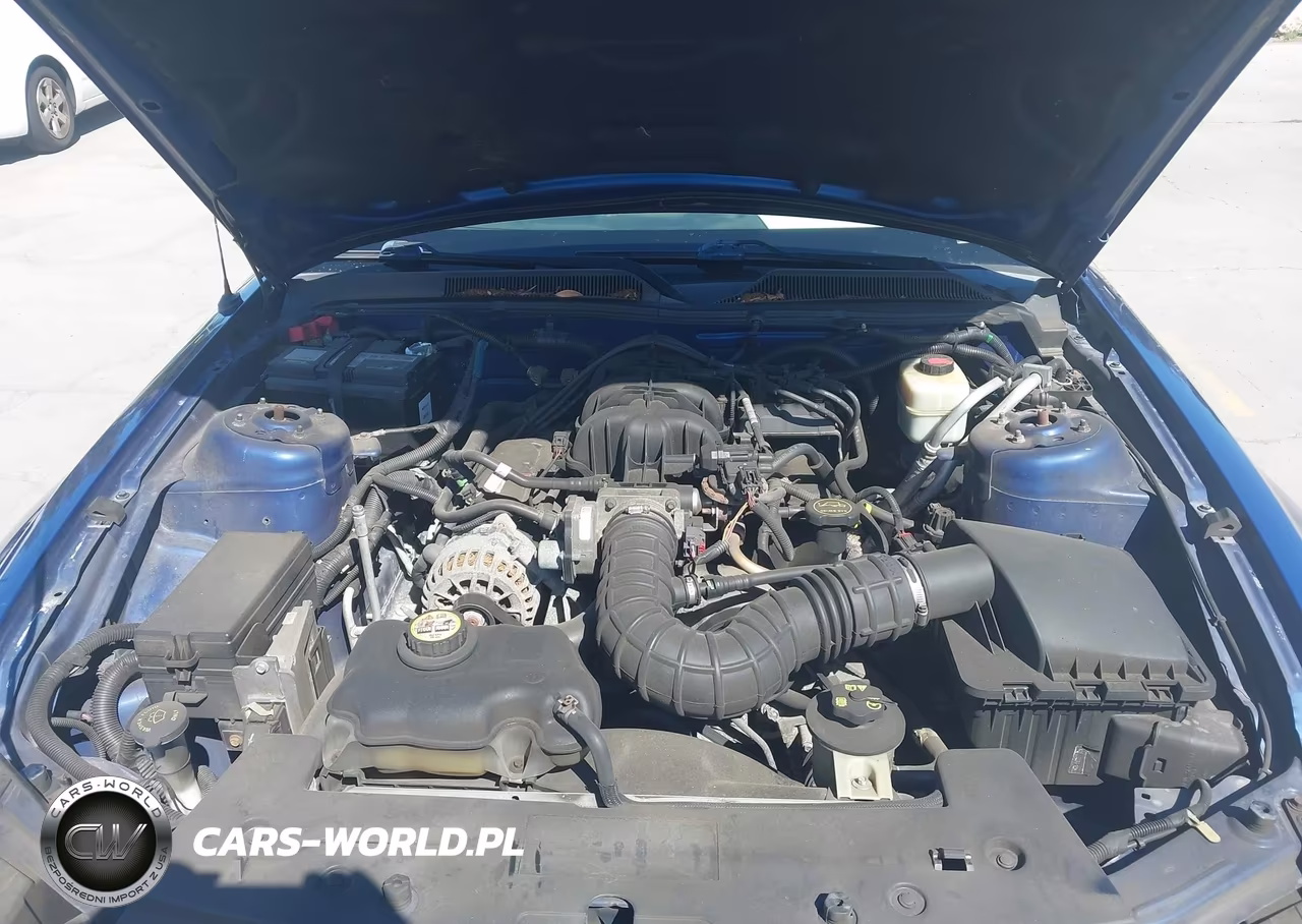 2007 Ford Mustang V6 Deluxe-V6 Premium VIN:1ZVFT80N175259117 - 10