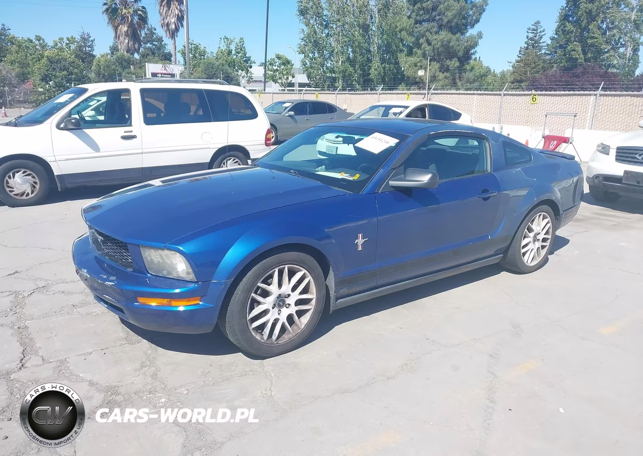 2007 Ford Mustang V6 Deluxe-V6 Premium VIN:1ZVFT80N175259117 - 2