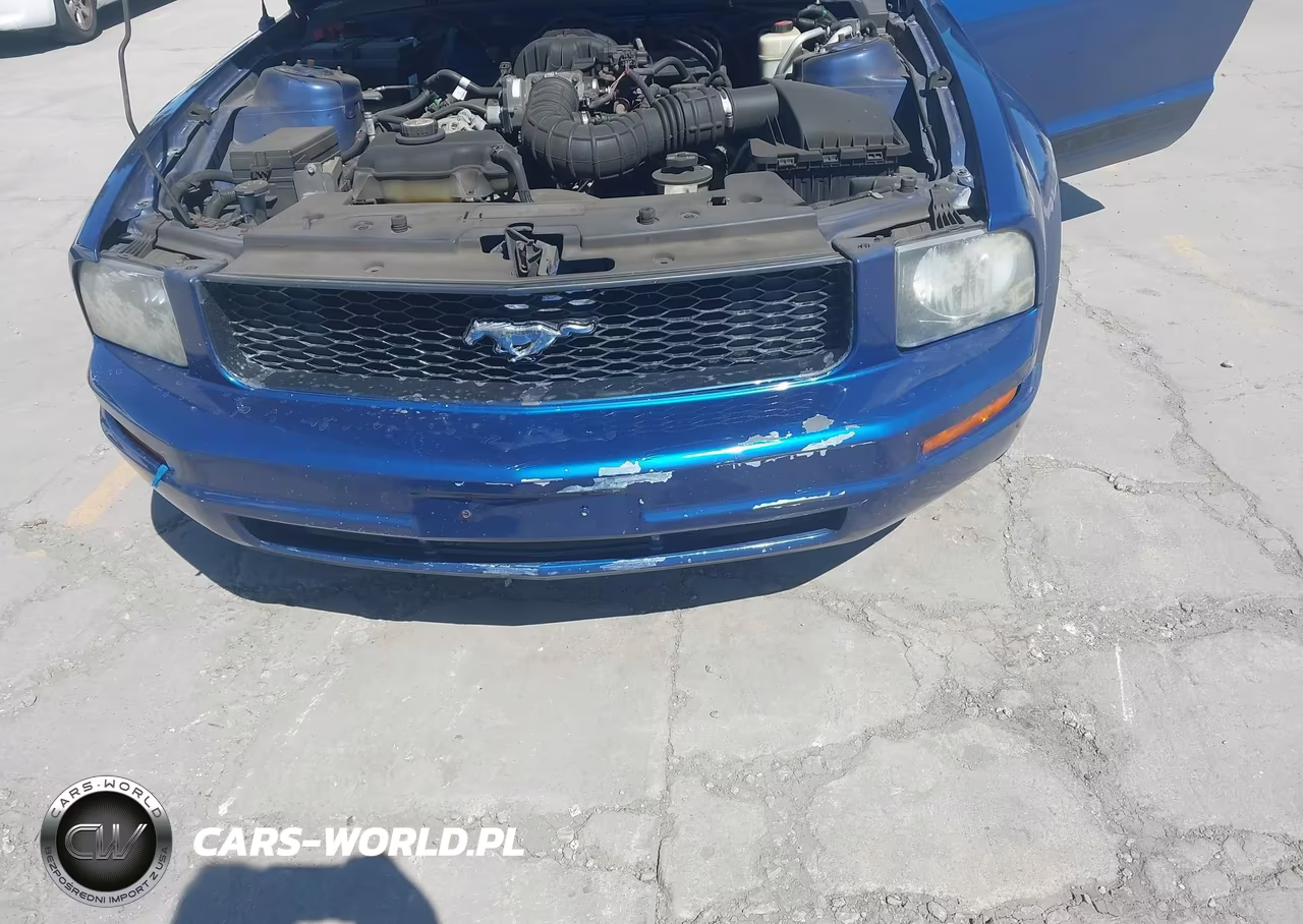 2007 Ford Mustang V6 Deluxe-V6 Premium VIN:1ZVFT80N175259117 - 6