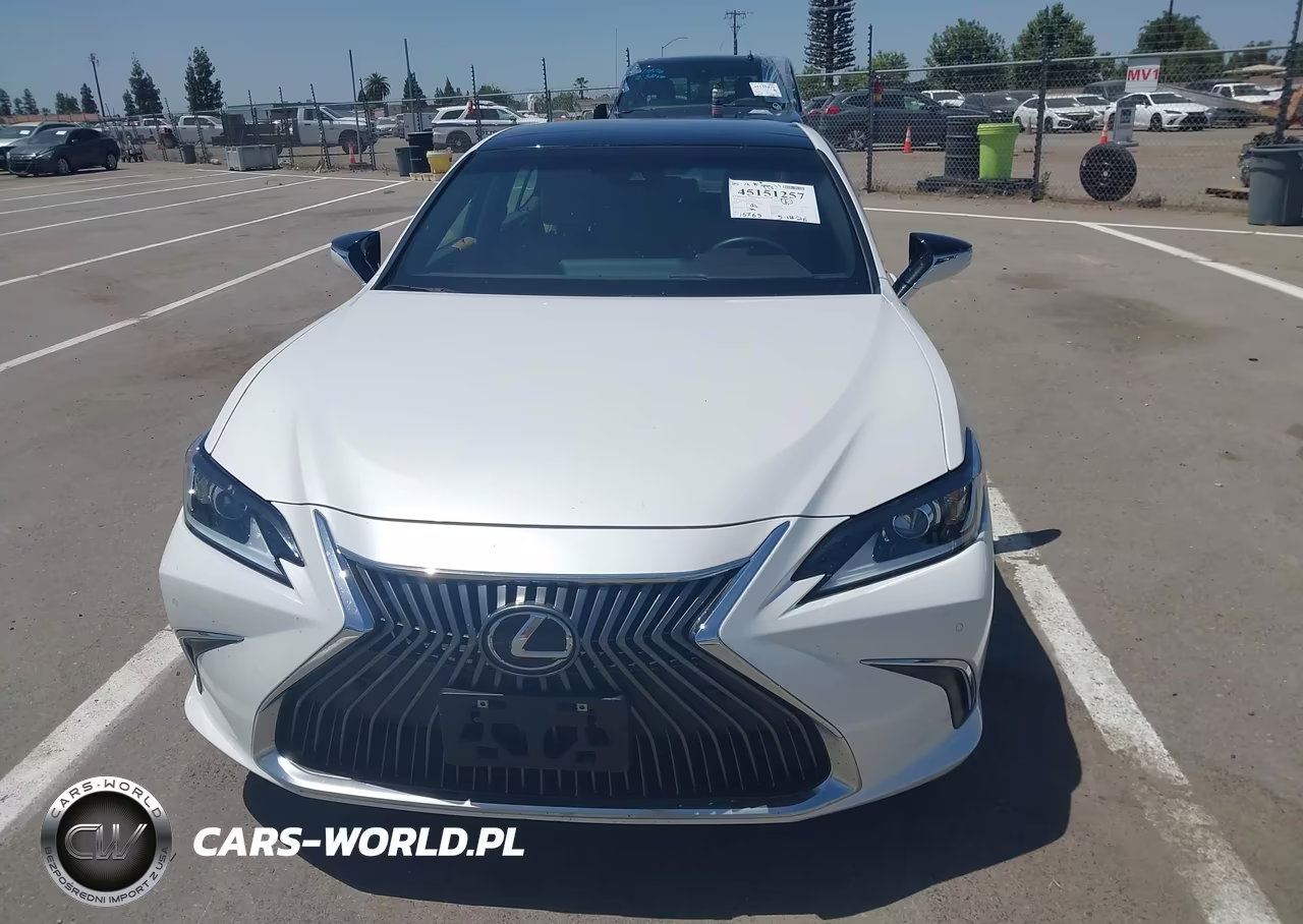 2021 Lexus Es 350 VIN:58ADZ1B17MU107410 - 12