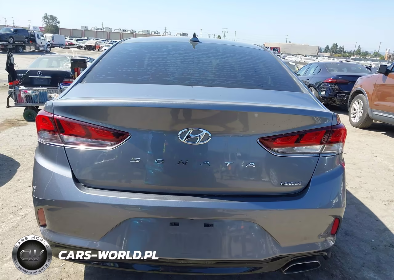 2019 Hyundai Sonata Limited VIN:5NPE34AF7KH768572 - 16