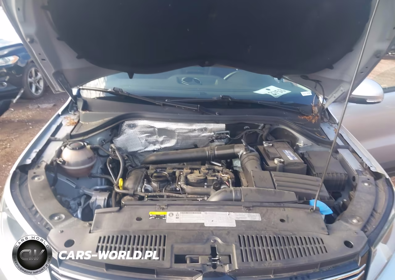 2017 Volkswagen Tiguan 2.0T-2.0T S VIN:WVGAV7AXXHK048448 - 10