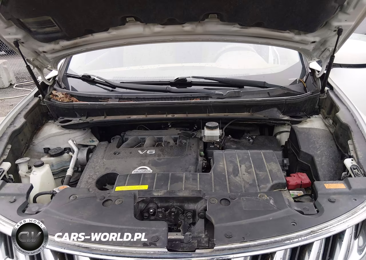2010 Nissan Murano Le VIN:JN8AZ1MW2AW138186 - 10