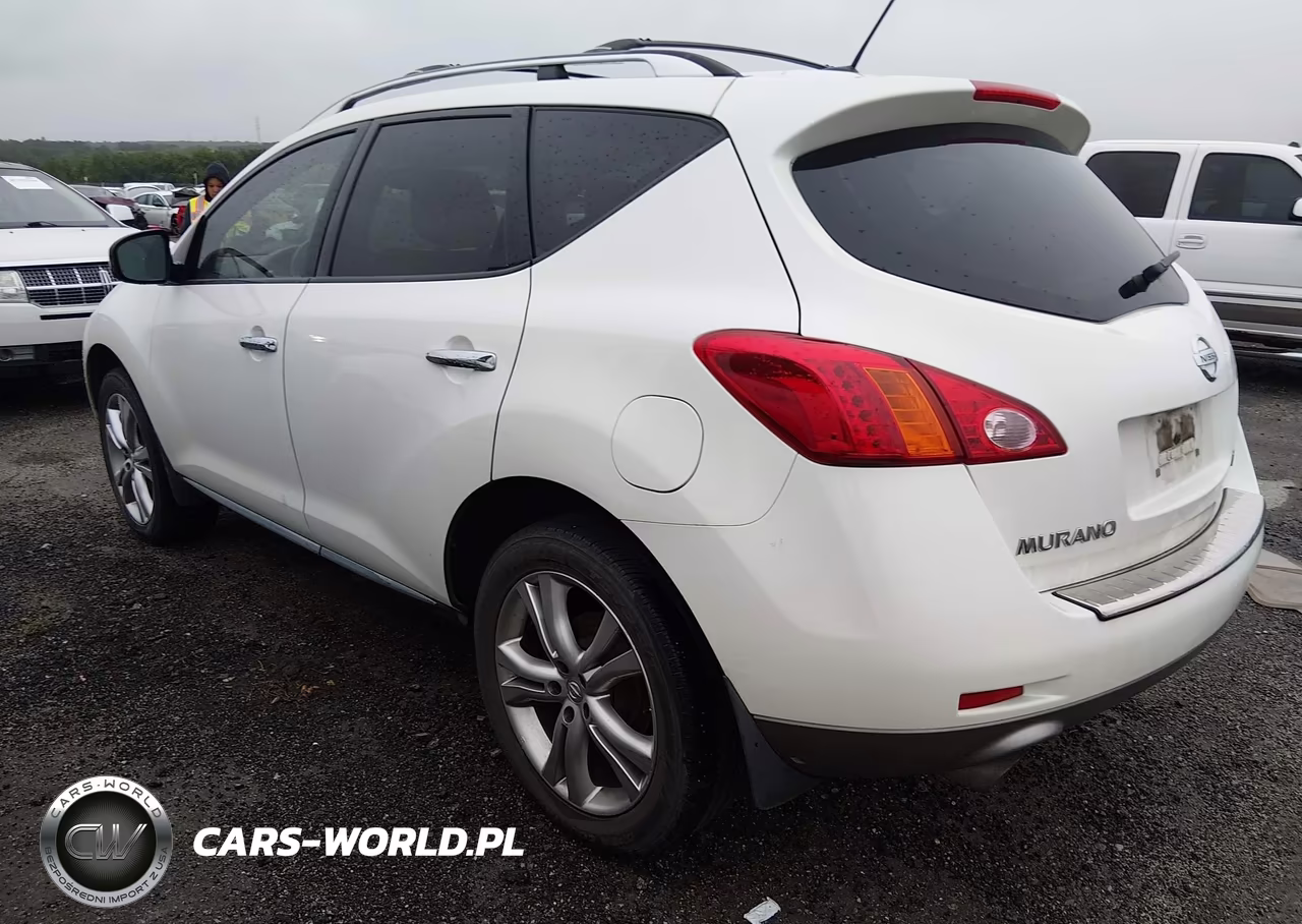 2010 Nissan Murano Le VIN:JN8AZ1MW2AW138186 - 3