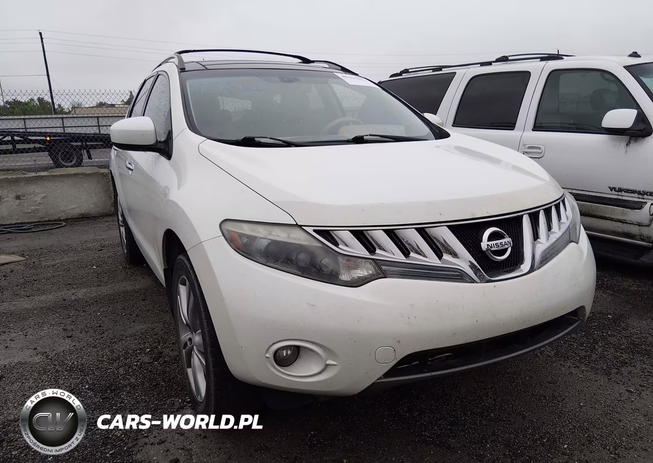 2010 Nissan Murano Le VIN:JN8AZ1MW2AW138186 - 6